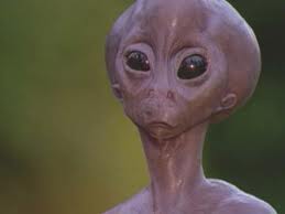 Skeptical Alien